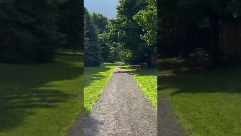 Trails of Dust - My Morning walk with Lola