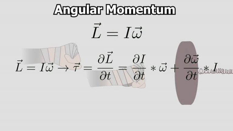 Science Behind Martial Arts #2 ; Torque, Angular Momentum and Power ; Hook Punch
