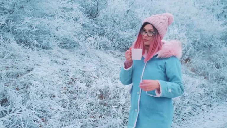 Winter Stroll