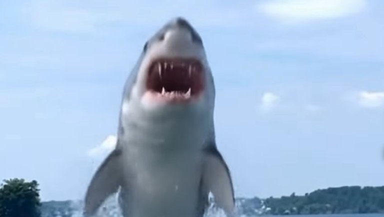 Blurt.media - YouTube Shorts Challenge : You’re gonna need a Bigger Boat !