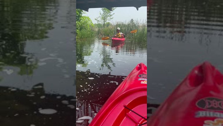 Early morning kayak