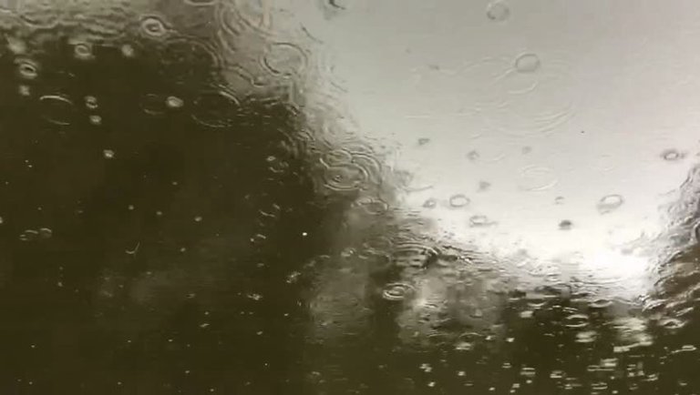 [2021 REPOST] Triggered By A Long Rain