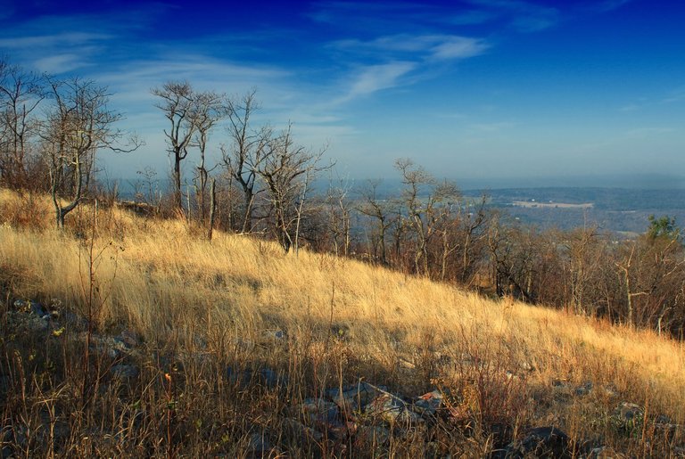 landscape, tree, nature, forest, grass, horizon, marsh, wilderness, mountain, cloud, plant, sky, sunrise, sunset, hiking, meadow, prairie, sunlight, morning, hill, dawn, valley, dusk, evening, autumn, season, ridge, plain, trees, creativecommons, clouds, mountains, grassland, appalachianmountains, wetland, pennsylvania, cirrus, bluemountain, kittatinnymountain, carboncounty, lehighgap, lehighgapnaturecenter, bog, appalachiantrail, lehighcounty, northtrail, woodland, habitat, ecosystem, tundra, steppe, rural area, natural environment, geographical feature, atmospheric phenomenon, woody plant, Free Images In PxHere