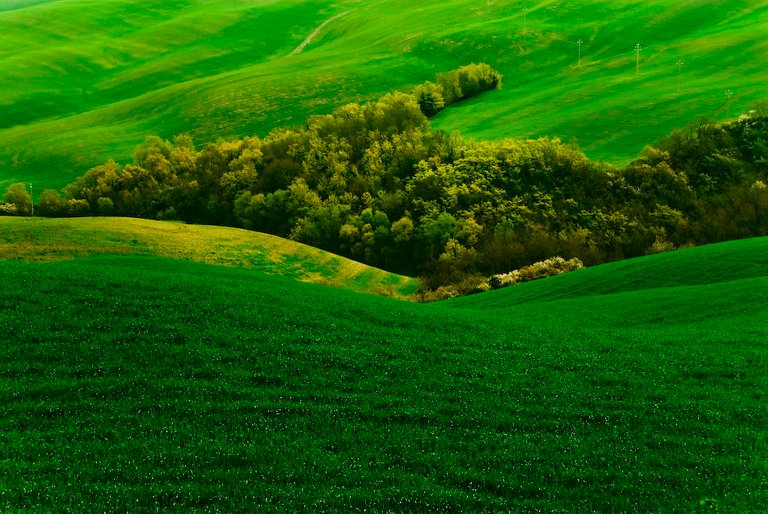 Landscape - Tuscany | by enzo.tiberi