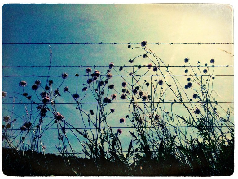 Repression