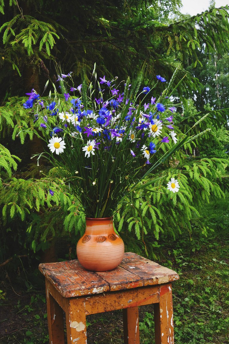 Midsummer feast in Latvia