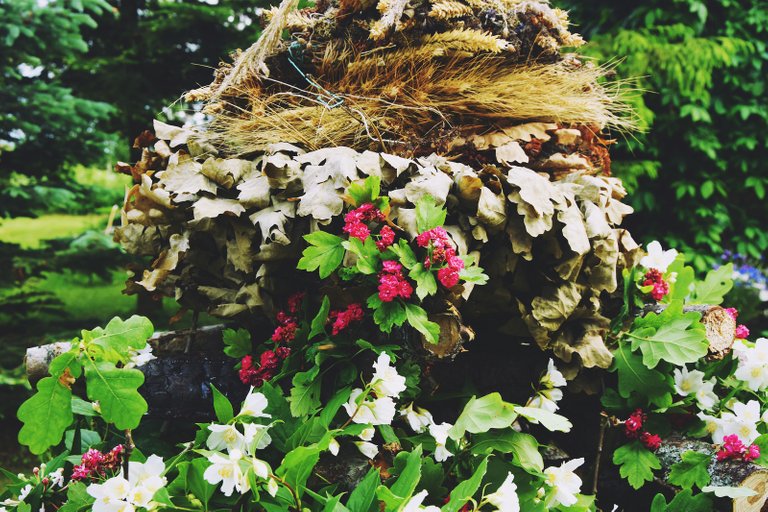 Midsummer feast in Latvia