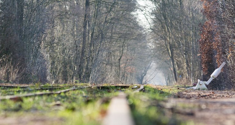 Torfbahn_Himmelmoor