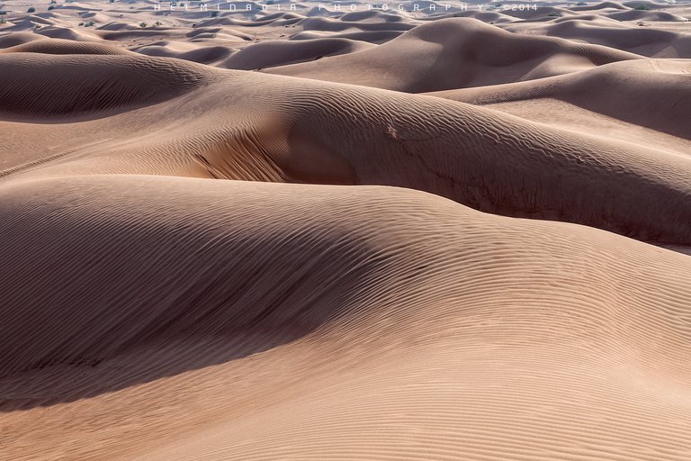 Sand Dunes,Dubai