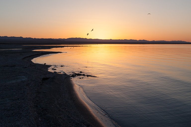 Salton Sea Sunrise