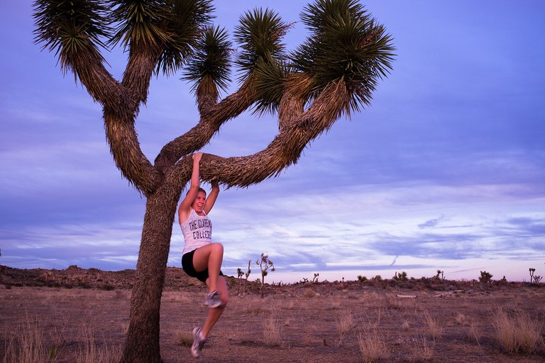 Emma and Tree