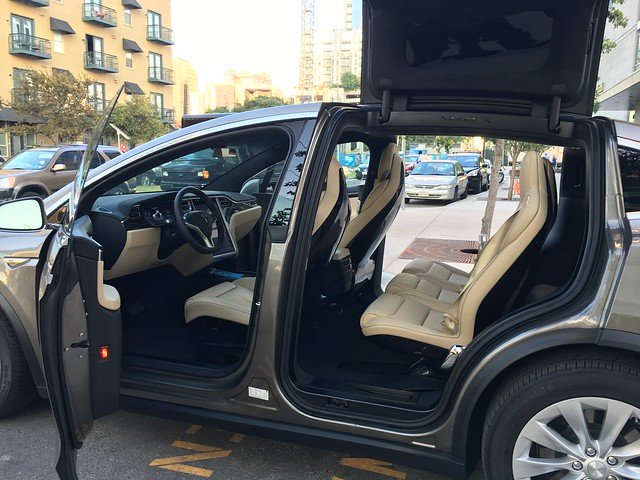 Model X Doors