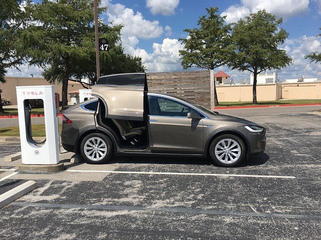 Model X Doors