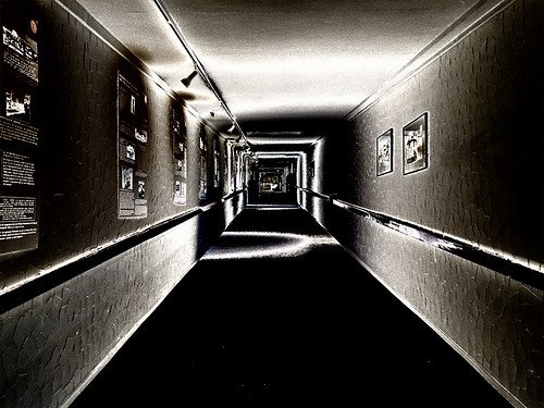 Asylum