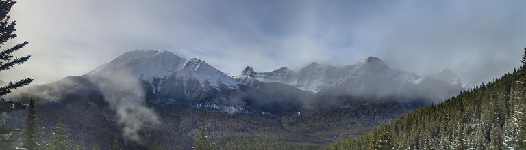 Mount Colembola