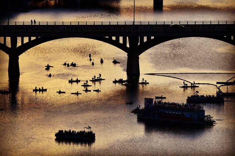 Swarm of Bats From Congress Ave Bridge