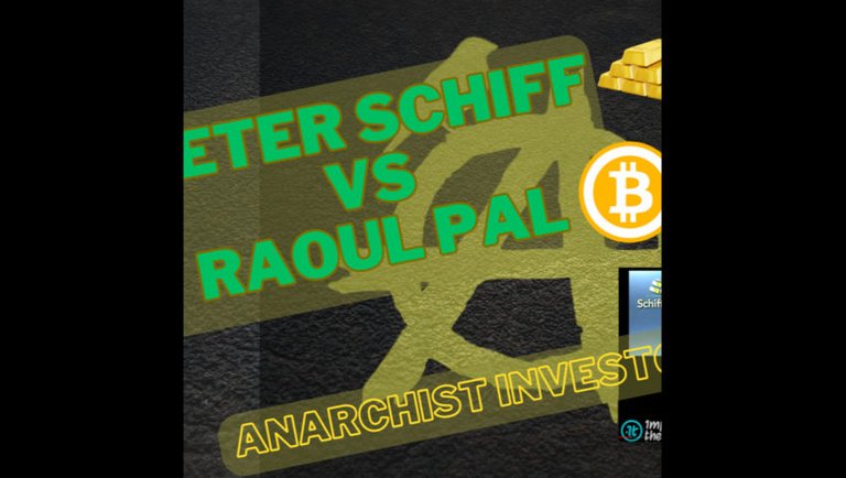 Peter Schiff vs Raoul Pal Bitcoin Debate Reaction
