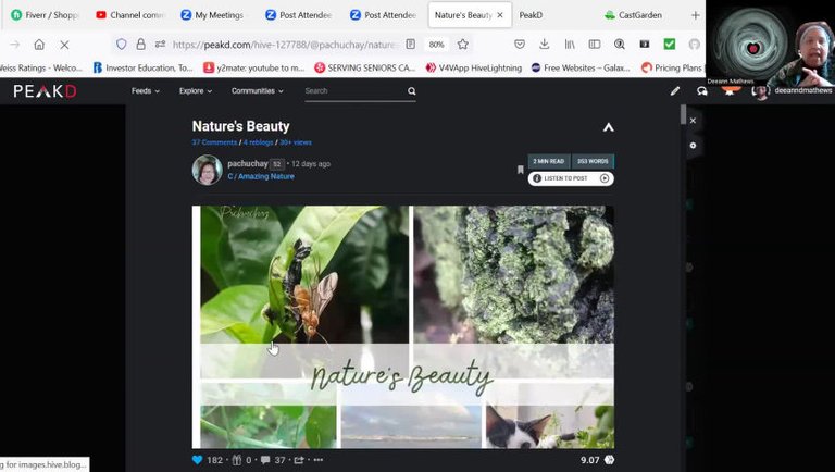 Ms. Dee's Best of Hive, Edition 4, April 17, 2023
