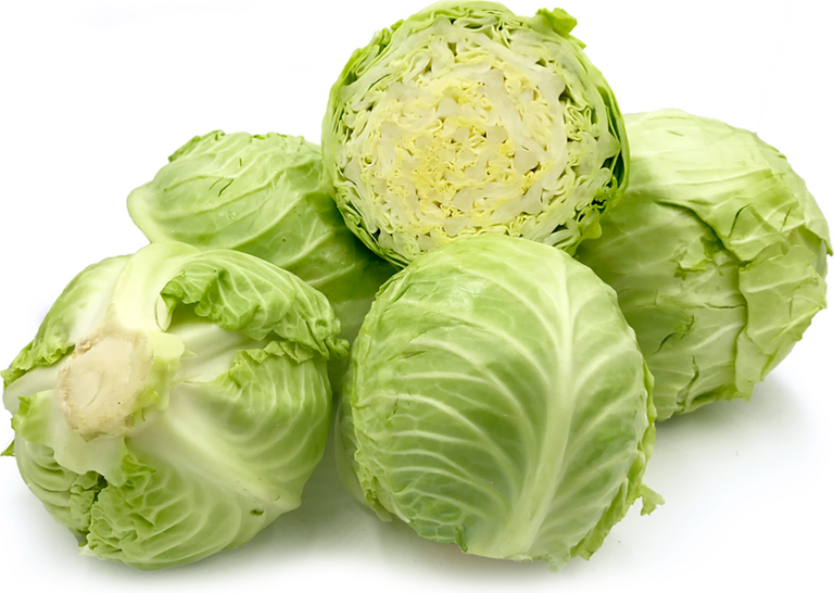 Kết quả hình ảnh cho Cabbage