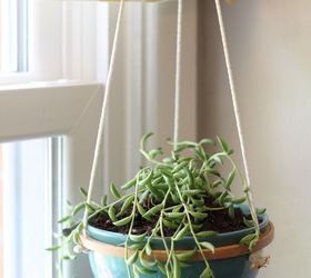  " "diy hanging succulent planter""