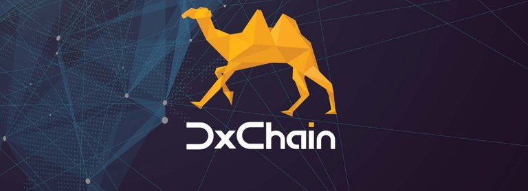 Image of Dxchain