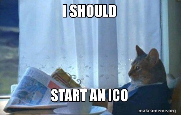 I should start an ICO