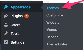 wordpress appearance themes