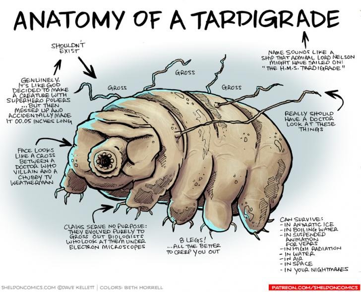 Tardigrade2