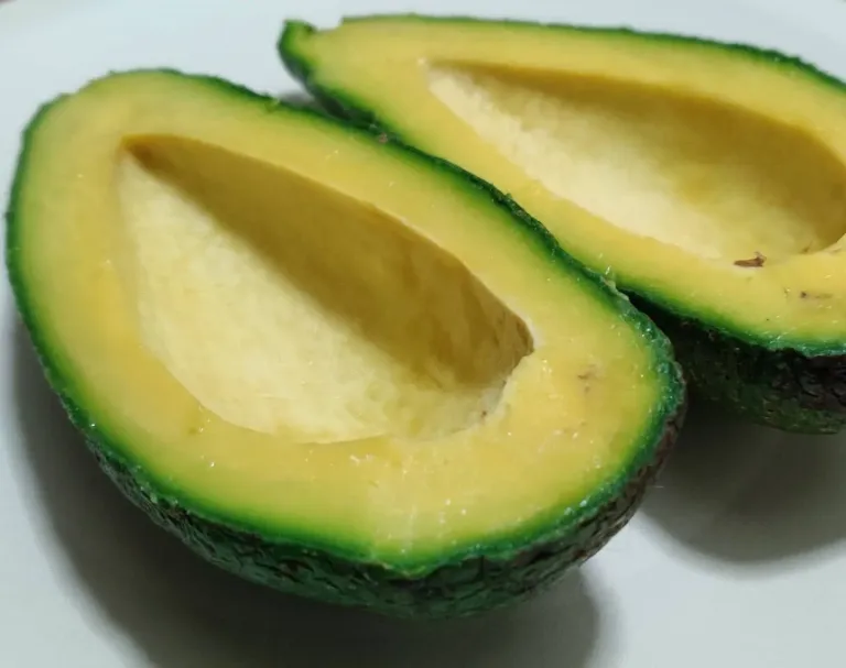 Avocado