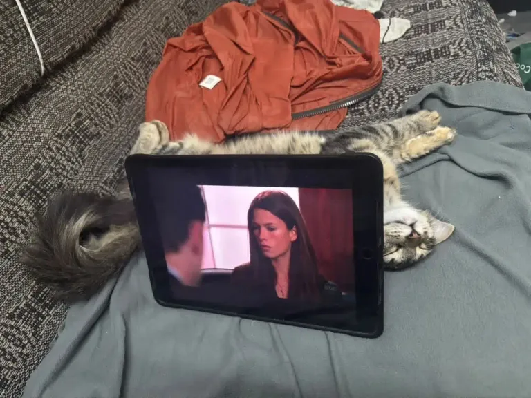 Domingo