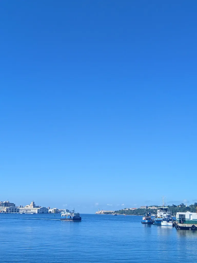 1000326718-daab347fca14.webp