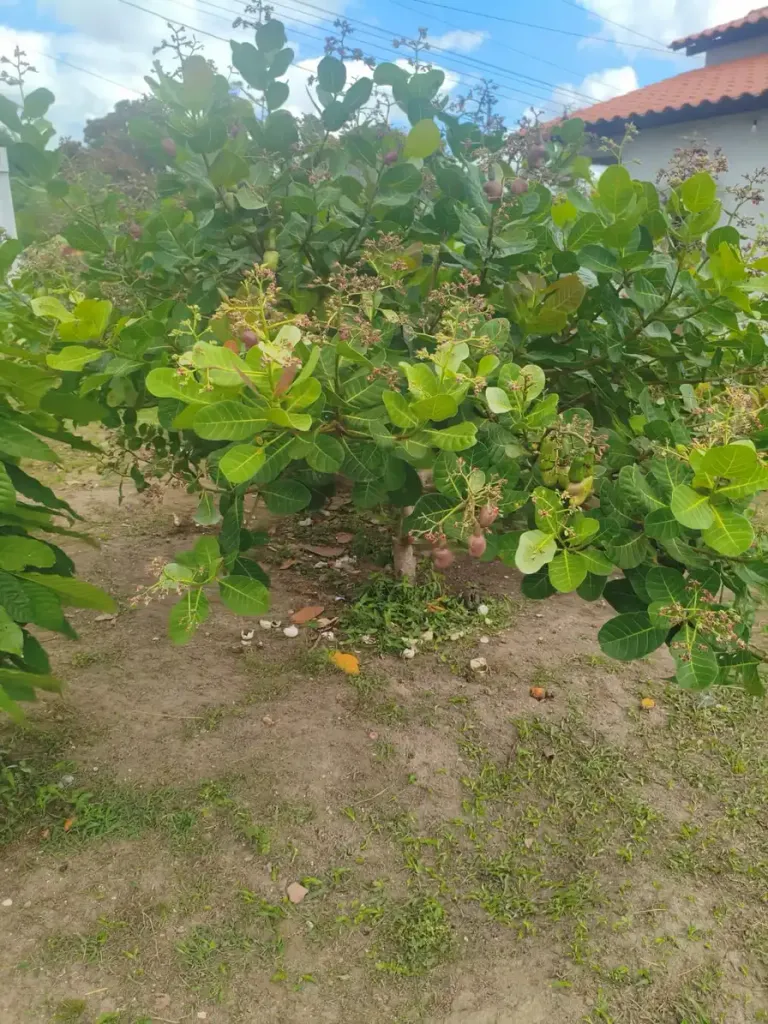 6-9c602d67e4f5.webp