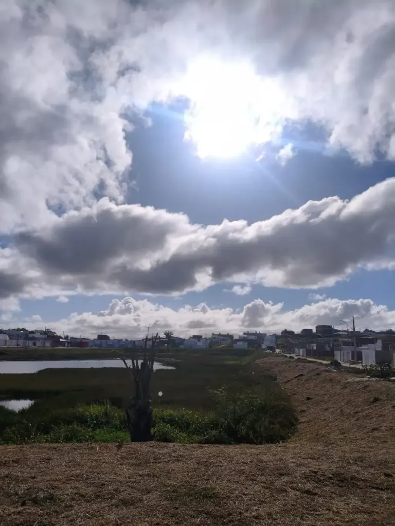 2-2170e5a1597e.webp