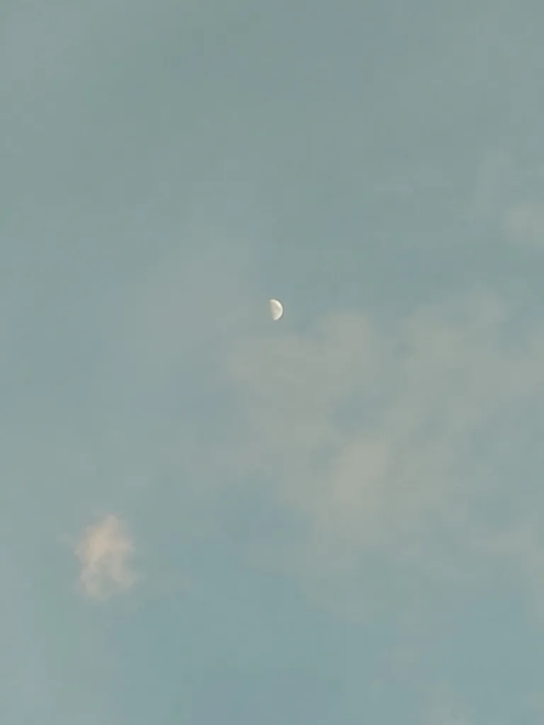 1000039329-e6d9142a2f48.webp