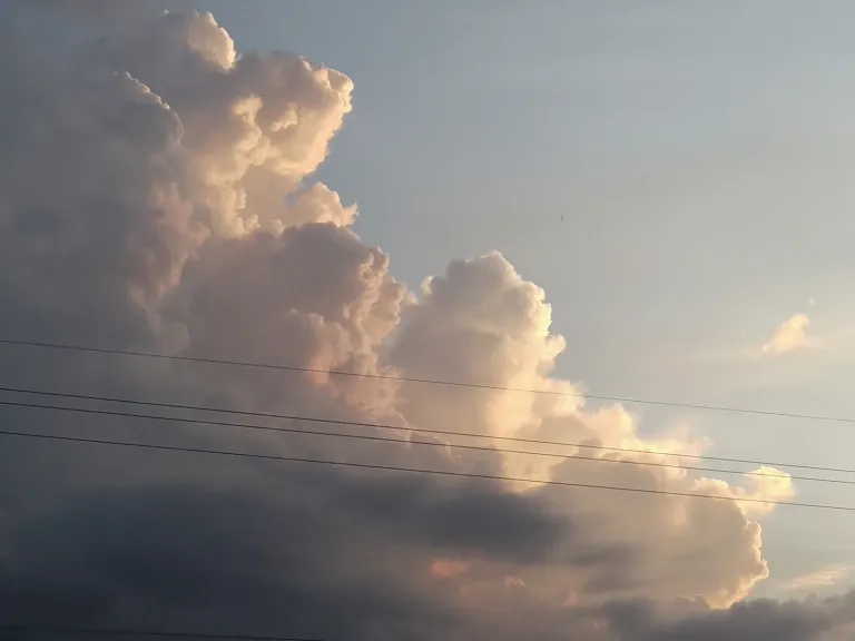 1000039336-dbef64a47bf2.webp