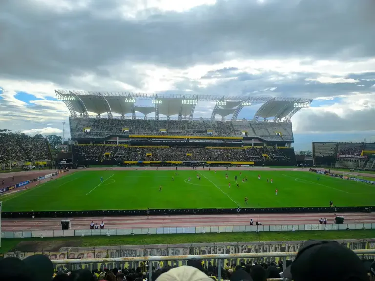 1001789504-ce8aafa7e07a.webp