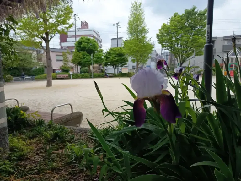 flower3-18d8cb5a4dd2.webp