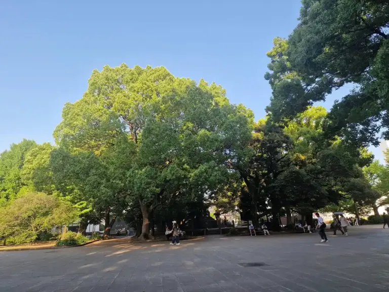 tree3-dbbe283273db.webp