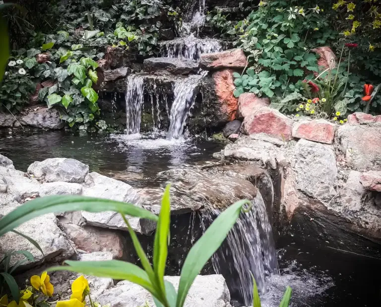 1-ar-2-4b3fcac01339.webp