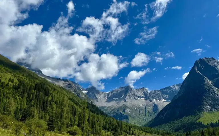 55454-dff43d36dab3.webp