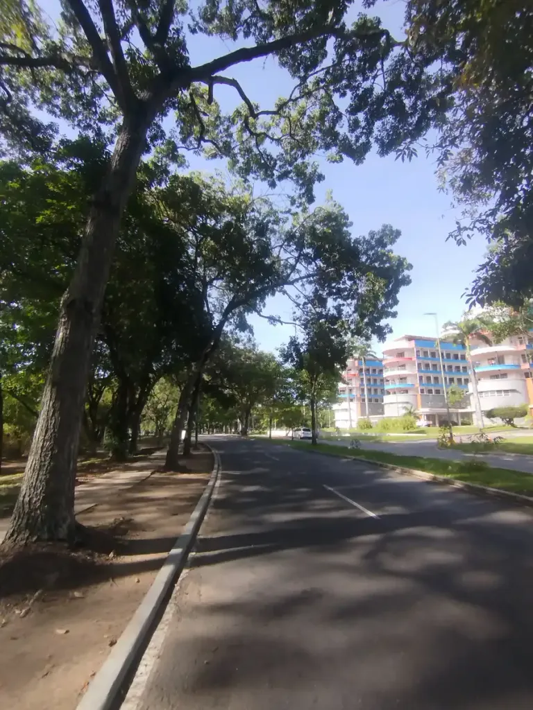 1001248929-7380efa34687.webp