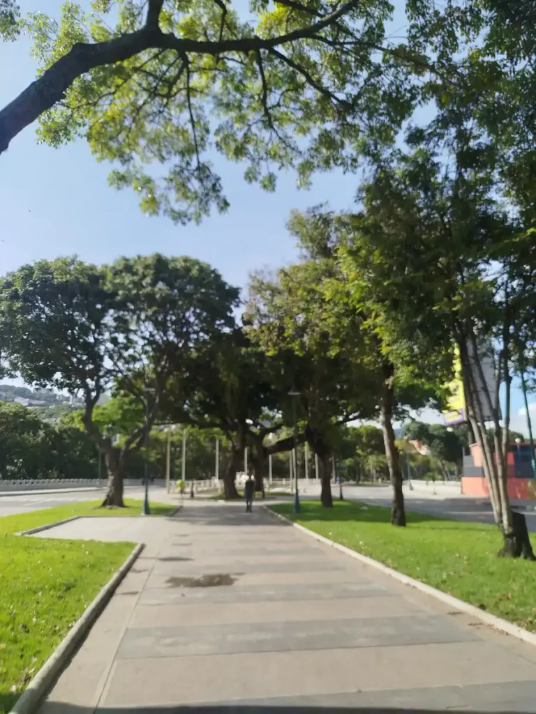 1001248933-b6724fd170bc.webp