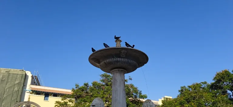 w7eZR1tnhFWCKDox_IMG_20250524_183637.webp