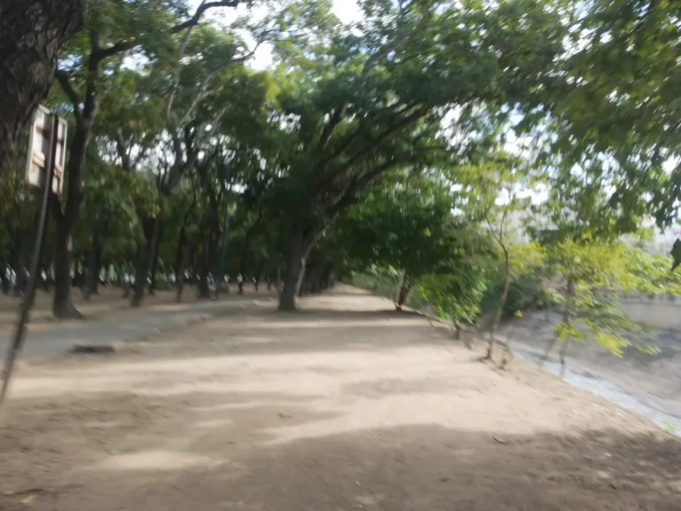 a7BTRy2iNrNxQkmJ_IMG_20250803_163352_228.webp