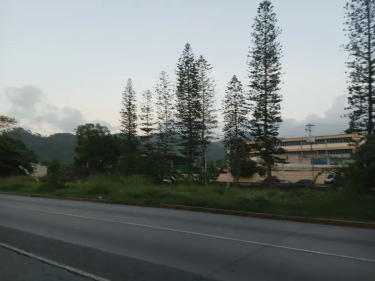 sf43PKFcAKv8V9o8_IMG_20250616_184846_794.webp