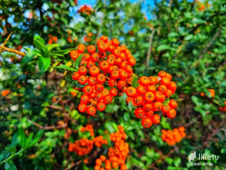 cl80nbqrk01ir0im792uu3r7j_20220910_163606-01.webp