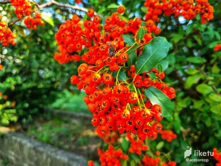 cl80nbwx801mn1lm78cc62i3k_20220910_163303-01.webp