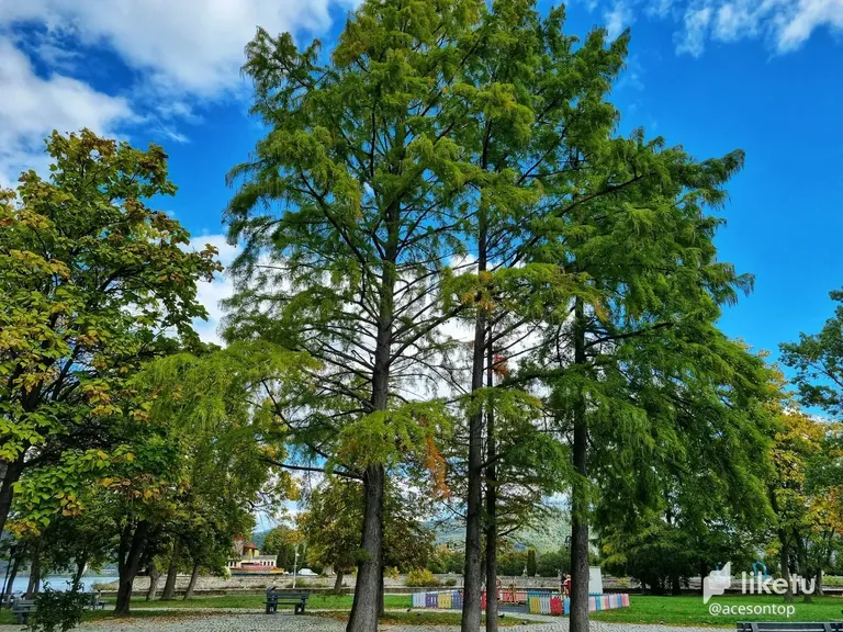 cl8t2p3hu03570vkcag6w0v8x_20221003_144233-01.webp