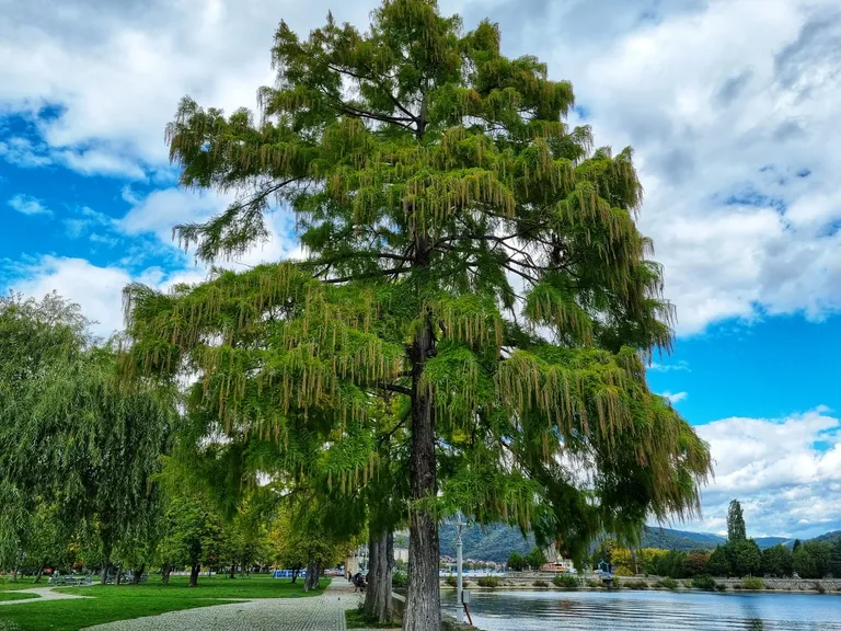 cl8t2pl13035814kcae12f59h_20221003_144541-01.webp