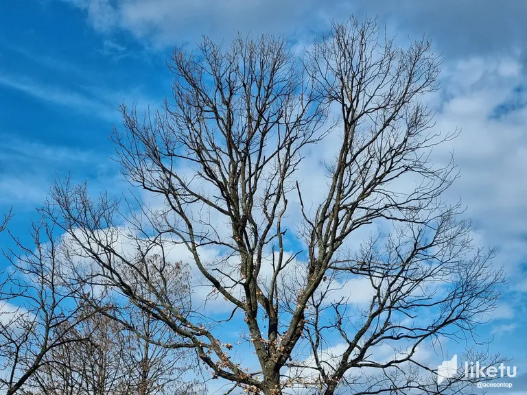 clebxn4up00w34aszajqfb6uj_20230219_135234-01.webp